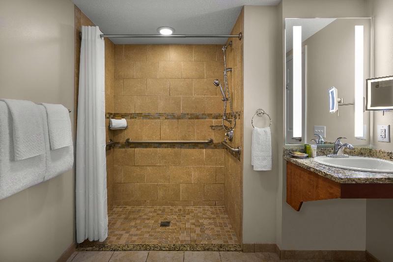 سوئیت با تخت بزرگ, Holiday Inn Houston West Westway Park, An Ihg