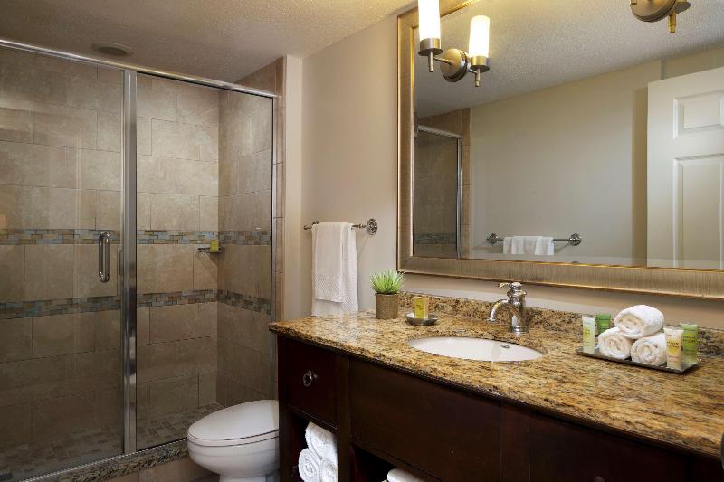 سوئیت با تخت بزرگ, Holiday Inn Houston West   Westway Park, An Ihg