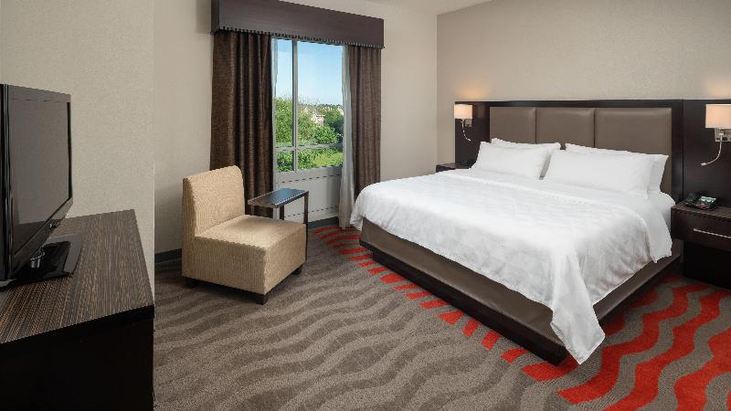 اتاق اجرایی با تخت بزرگ, Holiday Inn Houston West Westway Park, An Ihg