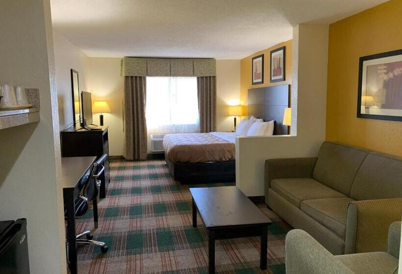 스탠다드 룸 킹사이즈 침대, Quality Inn Montgomery South