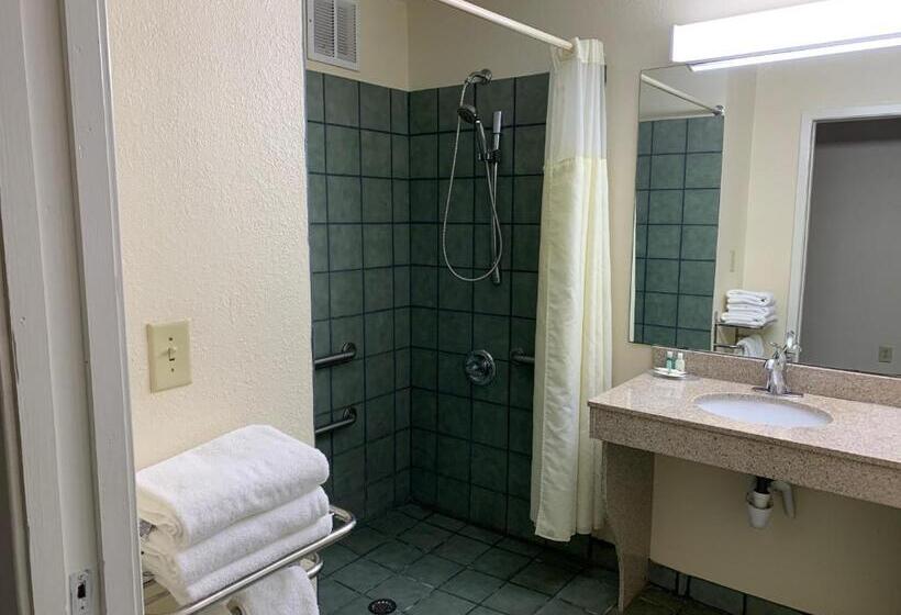 장애인을 위한 킹사이즈 침대 스탠다드 룸, Quality Inn Montgomery South