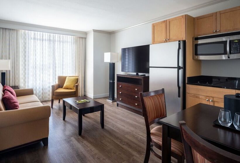 스위트, St. Petersburg Marriott Clearwater