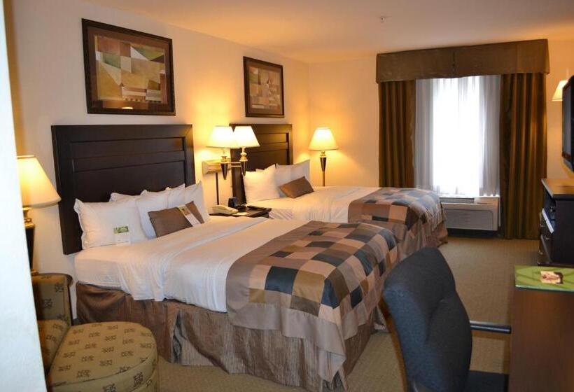 غرفة قياسية, Wingate By Wyndham Lagrange