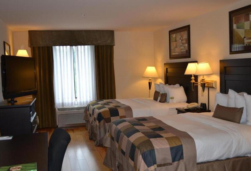 غرفة قياسية, Wingate By Wyndham Lagrange