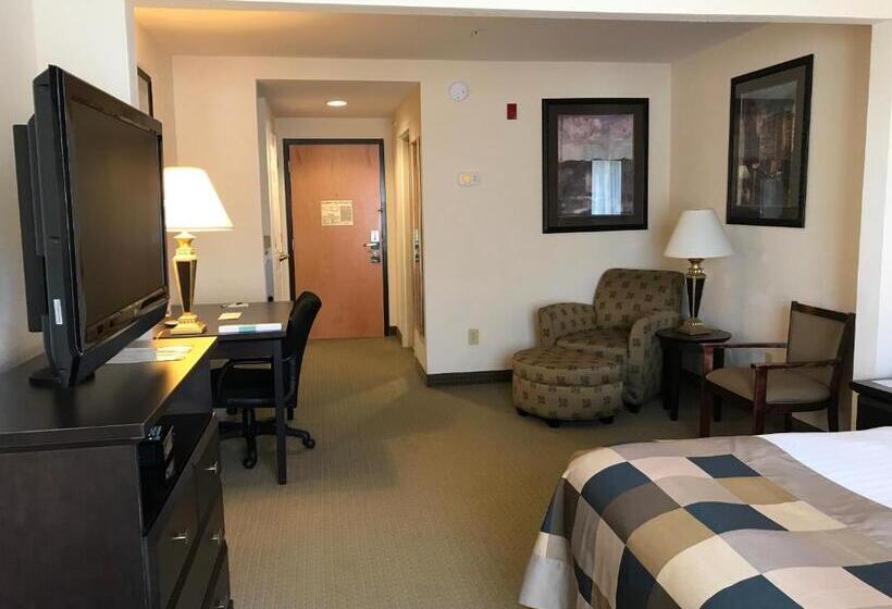 غرفة قياسية سرير كينج لذوى الإحتياجات الخاصة, Wingate By Wyndham Lagrange