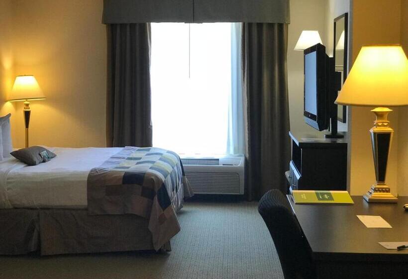 غرفة قياسية سرير كينج لذوى الإحتياجات الخاصة, Wingate By Wyndham Lagrange