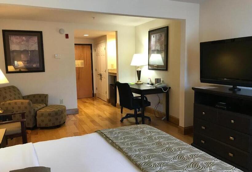 غرفة قياسية سرير كينج لذوى الإحتياجات الخاصة, Wingate By Wyndham Lagrange