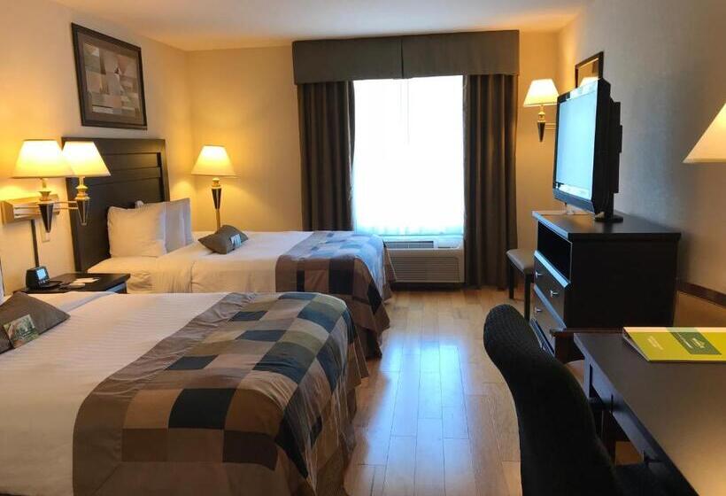 غرفة قياسية لذوى الاحتياجات الخاصة, Wingate By Wyndham Lagrange