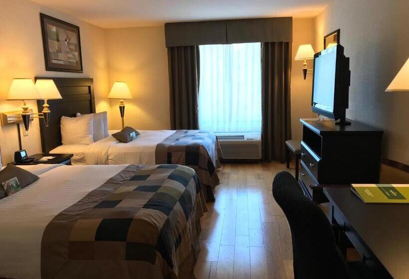 غرفة قياسية لذوى الاحتياجات الخاصة, Wingate By Wyndham Lagrange