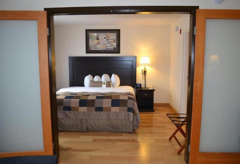 جناح سرير كينج, Wingate By Wyndham Lagrange