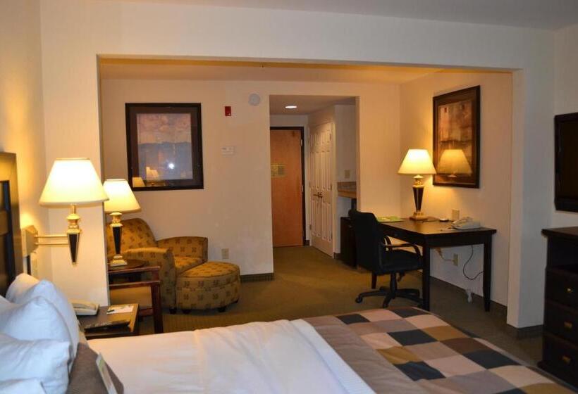 غرفة قياسية سرير كينج, Wingate By Wyndham Lagrange