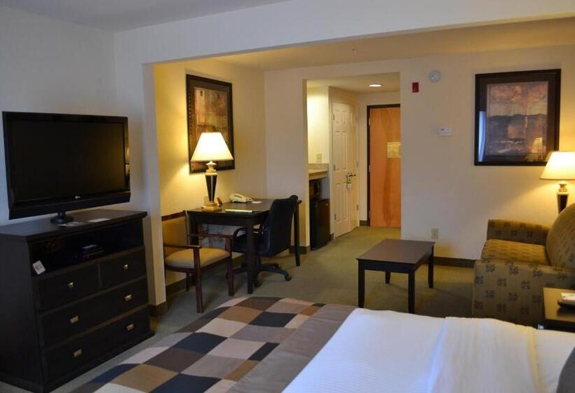 غرفة قياسية سرير كينج, Wingate By Wyndham Lagrange