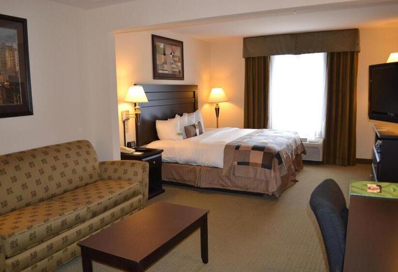 غرفة قياسية سرير كينج, Wingate By Wyndham Lagrange