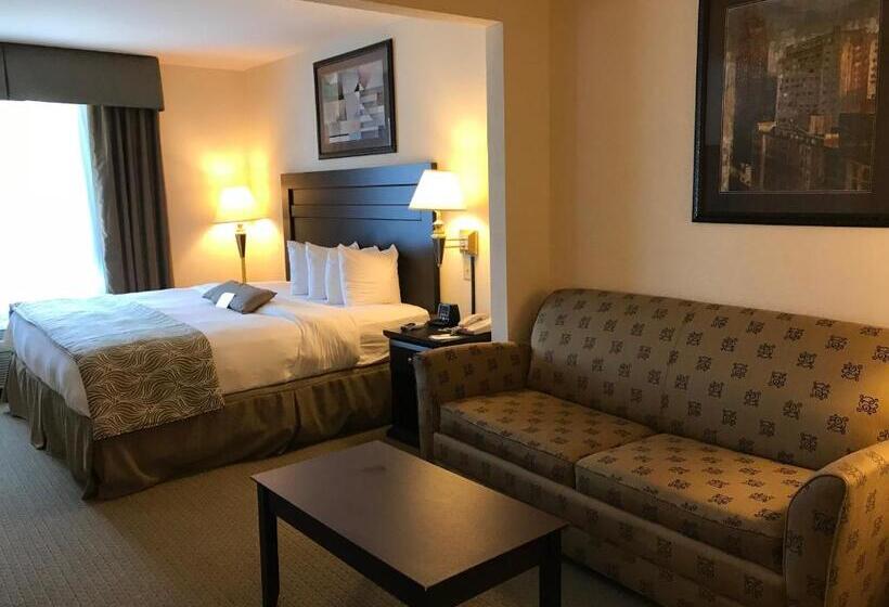 غرفة قياسية سرير كينج, Wingate By Wyndham Lagrange