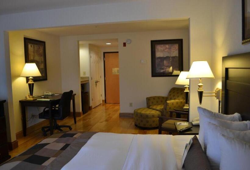 غرفة قياسية سرير كينج, Wingate By Wyndham Lagrange