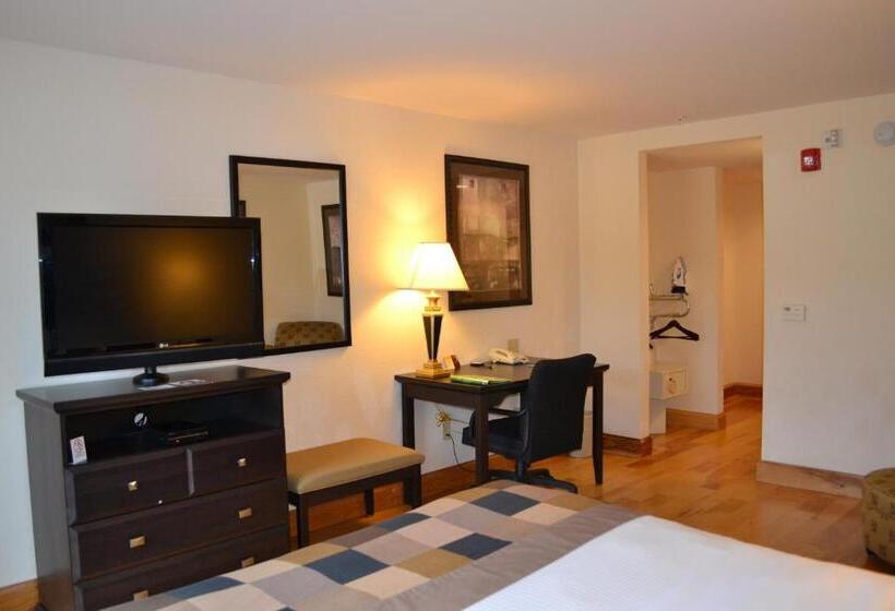 غرفة قياسية سرير كينج, Wingate By Wyndham Lagrange