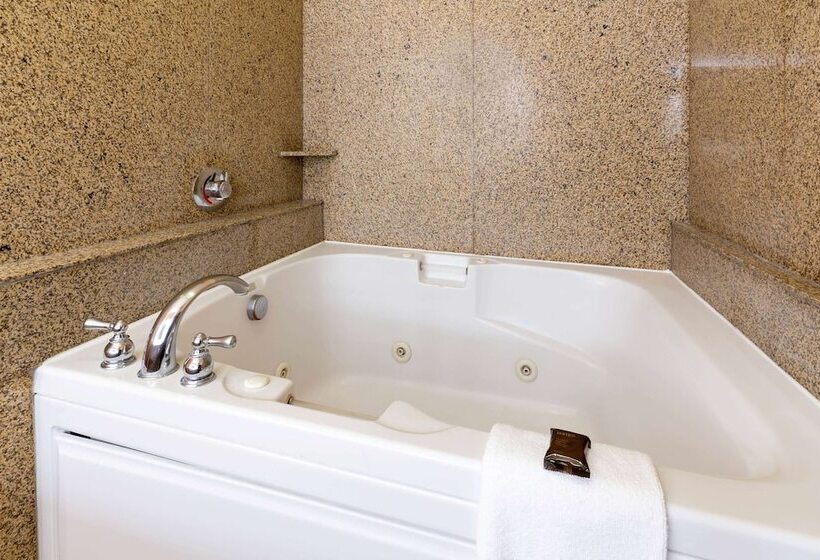 高级工作室, Wingate By Wyndham Moses Lake