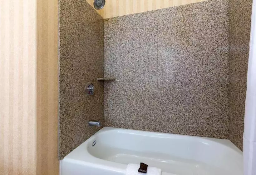 Deluxe-studio, Wingate By Wyndham Moses Lake