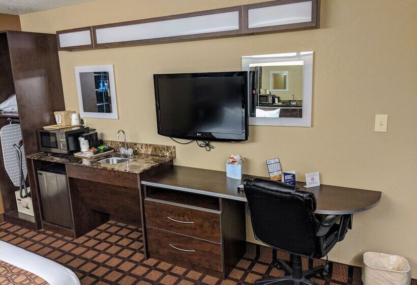 适用于残疾人士的豪华房间, Microtel Inn And Suites Montgomery