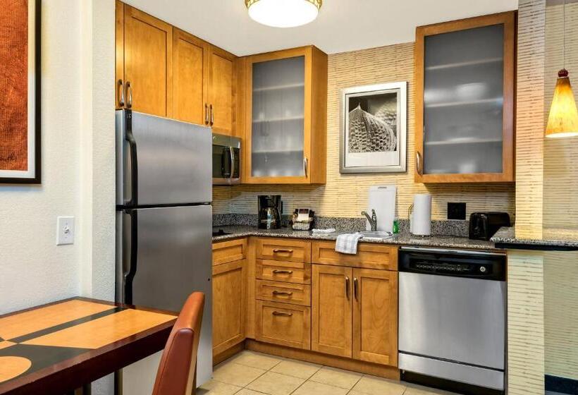 带大床的套房, Residence Inn By Marriott San Antonio Seaworld/lackland