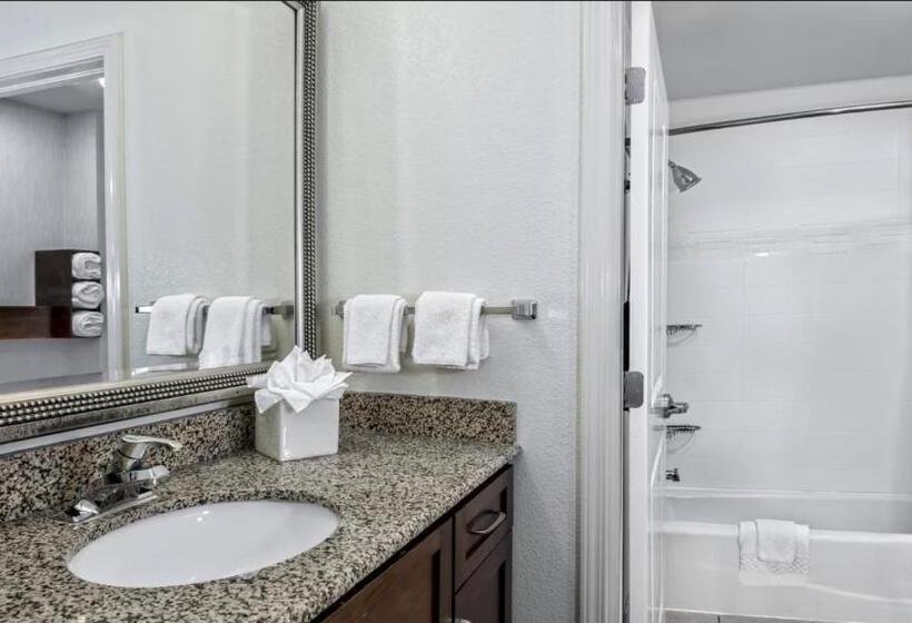 带2个卧室的套房, Residence Inn By Marriott San Antonio Seaworld/lackland