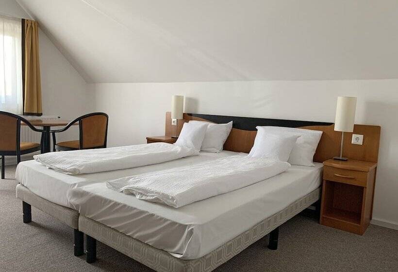 غرفة قياسية, Lorelei Pension Adults Only