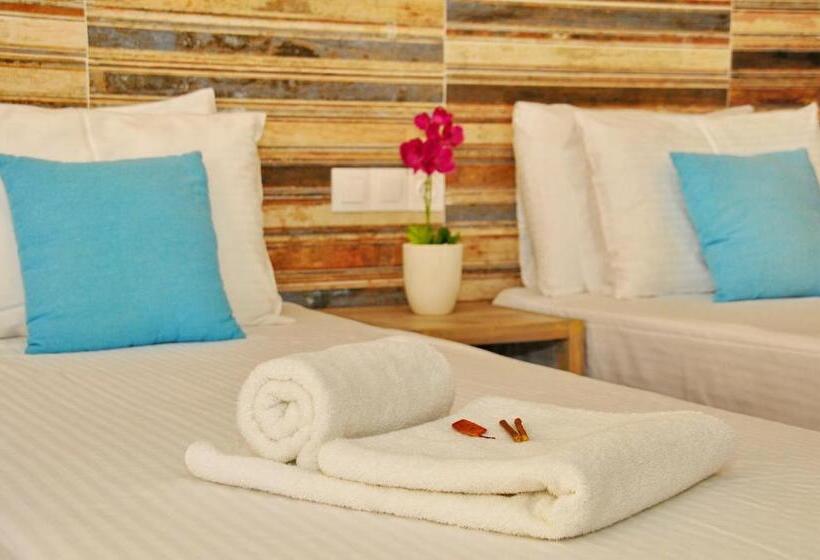 Номер Стандарт, Cleopatra Apartments