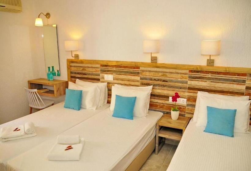 Студия Стандарт, Cleopatra Apartments