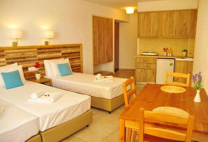 Студия Стандарт, Cleopatra Apartments