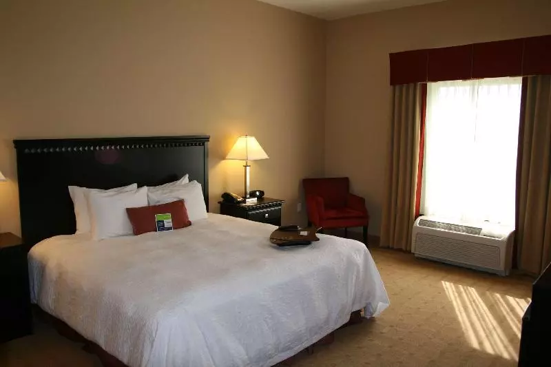 キングサイズベッドのスタンダードルーム, Hampton Inn Dade City Zephyrhills
