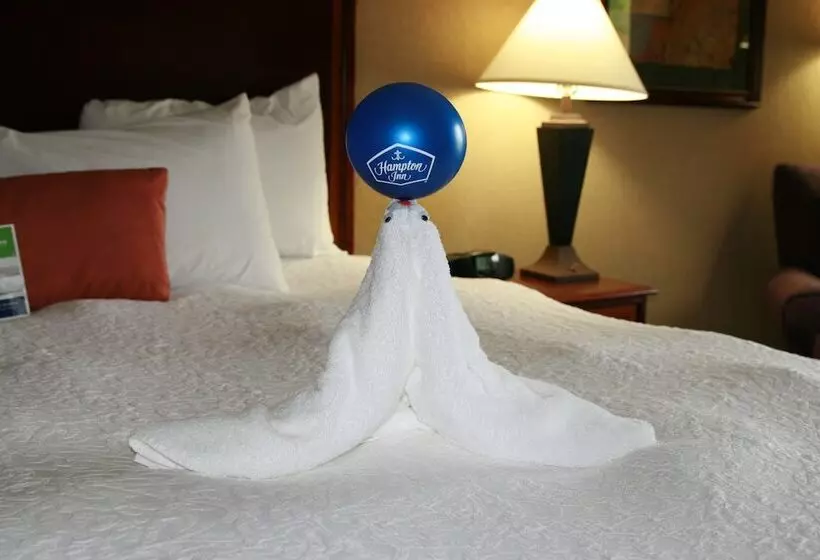 スタンダードルーム, Hampton Inn Van Buren