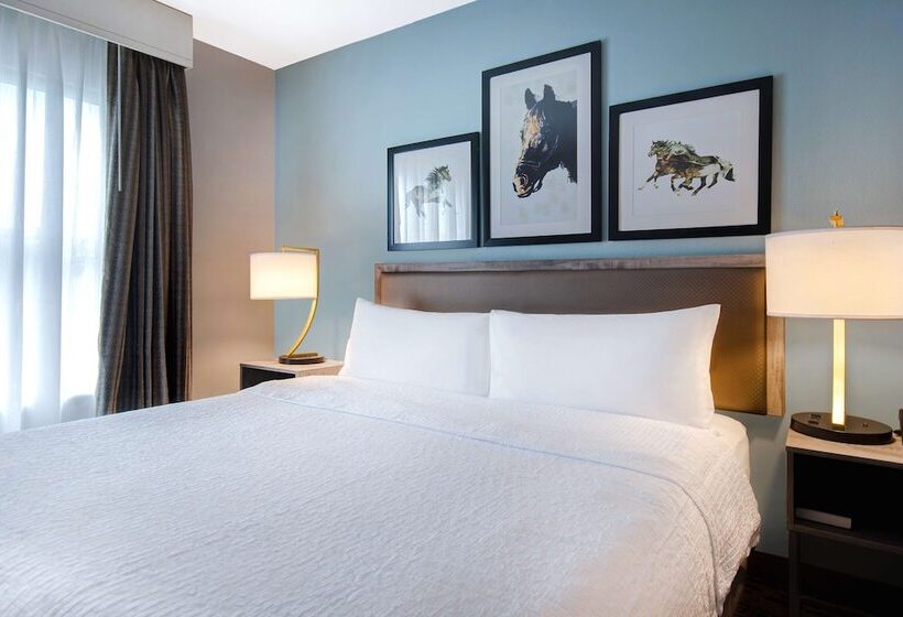 套房, Homewood Suites Lexington Hamburg
