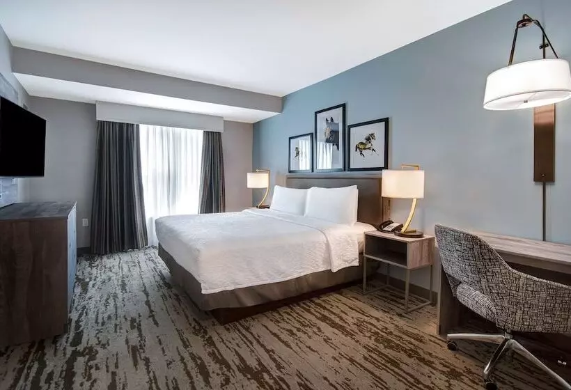 ２ベッドスイートルーム, Homewood Suites Lexington Hamburg