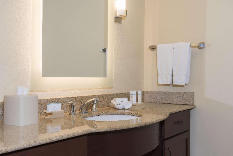 带大床的套房, Homewood Suites Lexington Hamburg