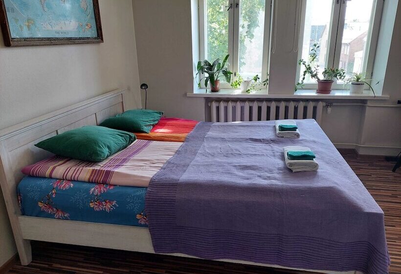 استودیوی استاندارد, Looming Hostel