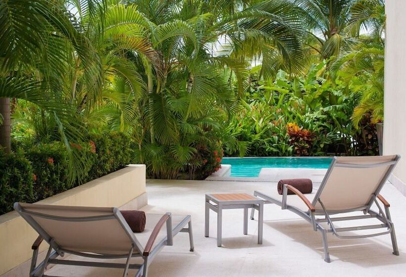 סוויטת קלאב ג'וניור, Dreams Vallarta Bay Resorts & Spa   All Inclusive