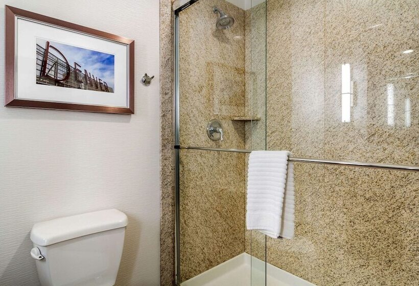 Люкс, Comfort Inn & Suites Brighton Denver Ne Medical Center