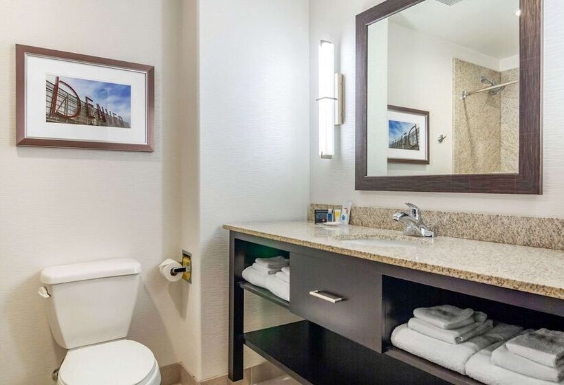 Люкс, Comfort Inn & Suites Brighton Denver Ne Medical Center