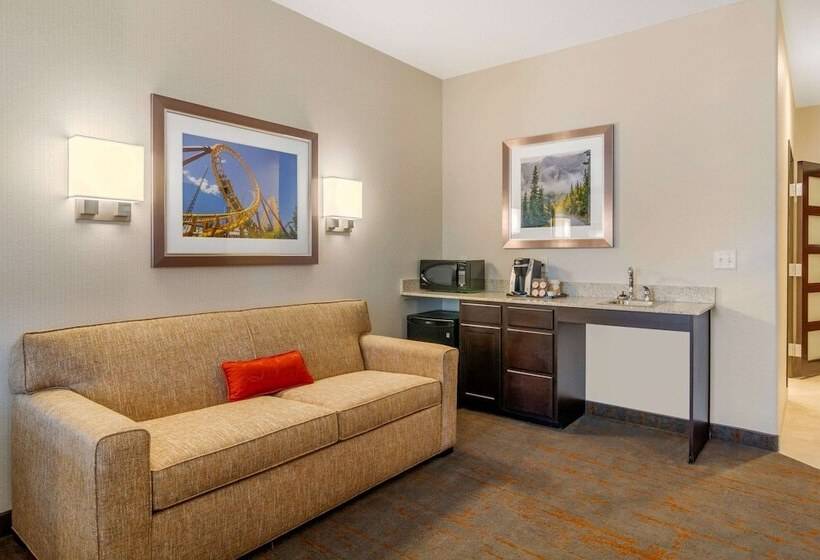 جناح, Comfort Inn & Suites Brighton Denver Ne Medical Center