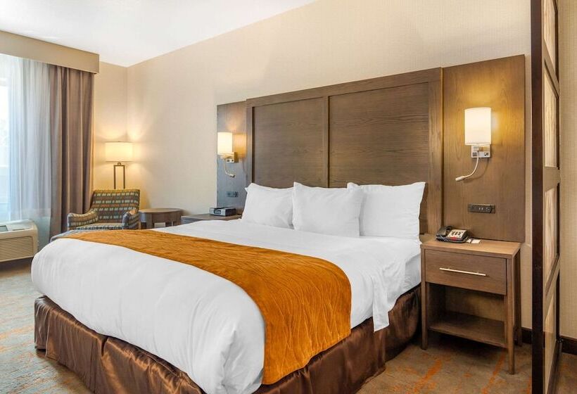 جناح, Comfort Inn & Suites Brighton Denver Ne Medical Center