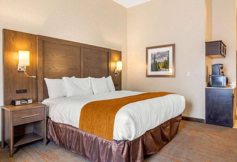 جناح, Comfort Inn & Suites Brighton Denver Ne Medical Center