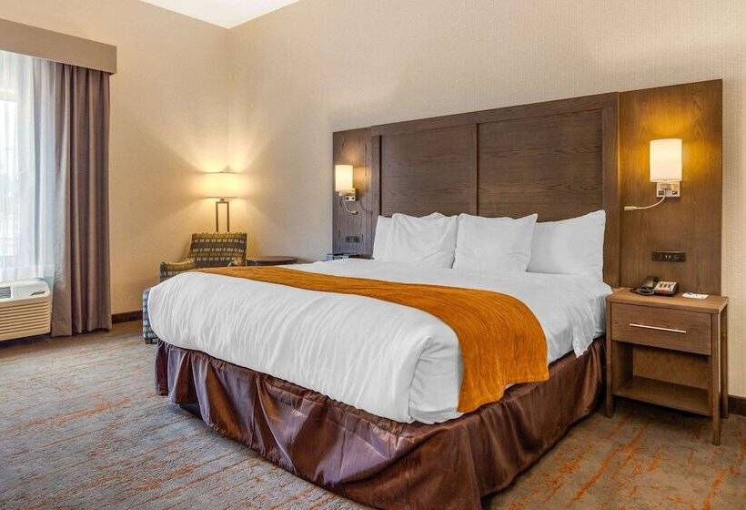 جناح, Comfort Inn & Suites Brighton Denver Ne Medical Center