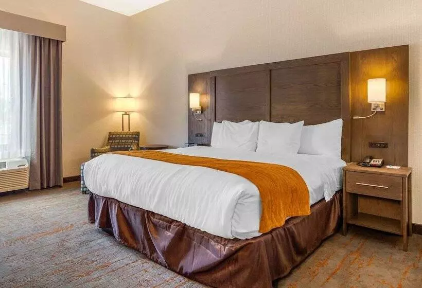 スイート, Comfort Inn & Suites Brighton Denver Ne Medical Center