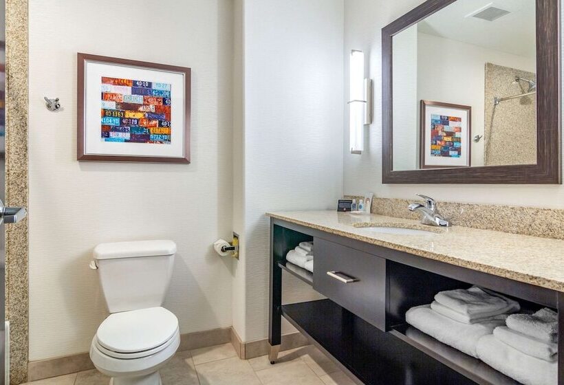 جناح, Comfort Inn & Suites Brighton Denver Ne Medical Center