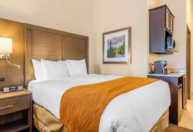 スイート, Comfort Inn & Suites Brighton Denver Ne Medical Center