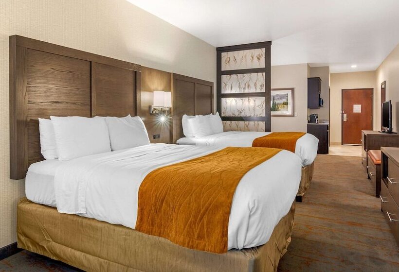 جناح, Comfort Inn & Suites Brighton Denver Ne Medical Center