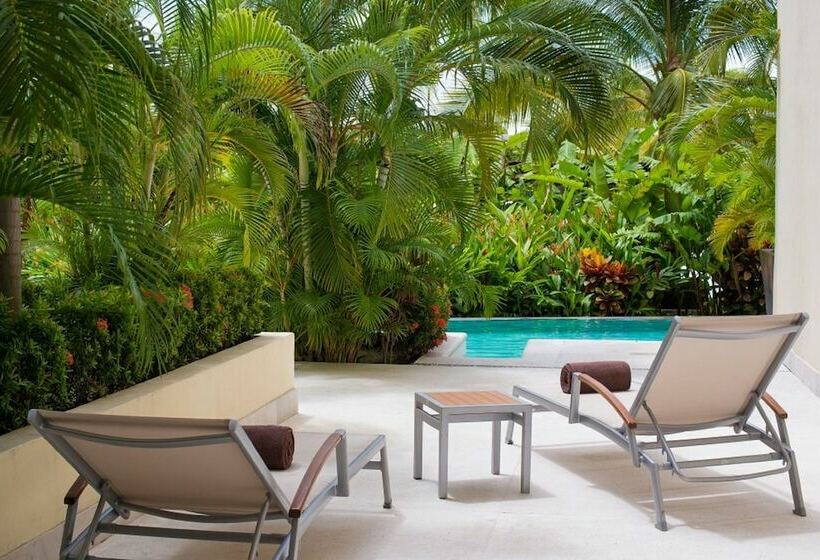 جناح جونيور سرير كينج, Dreams Vallarta Bay Resorts & Spa   All Inclusive