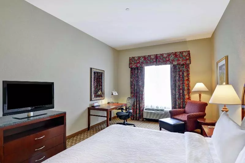 キングサイズベッドのスタンダードルーム, Hilton Garden Inn Amarillo