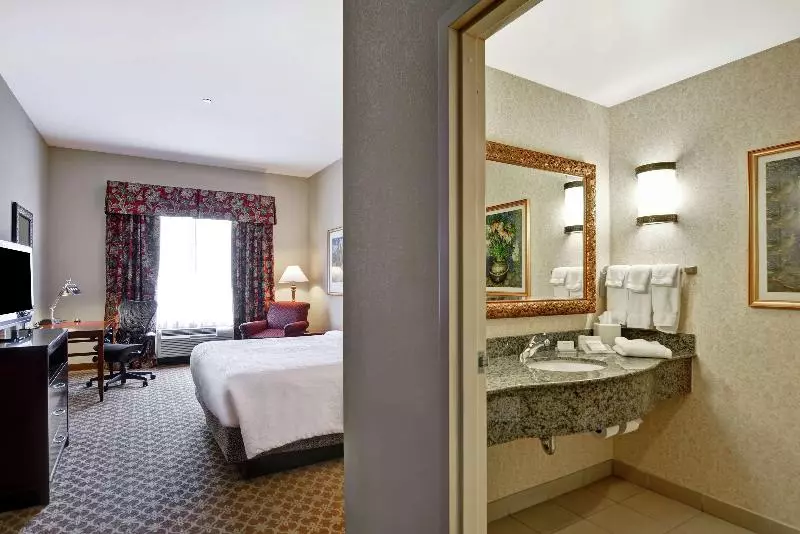 キングサイズベッドのスタンダードルーム, Hilton Garden Inn Amarillo