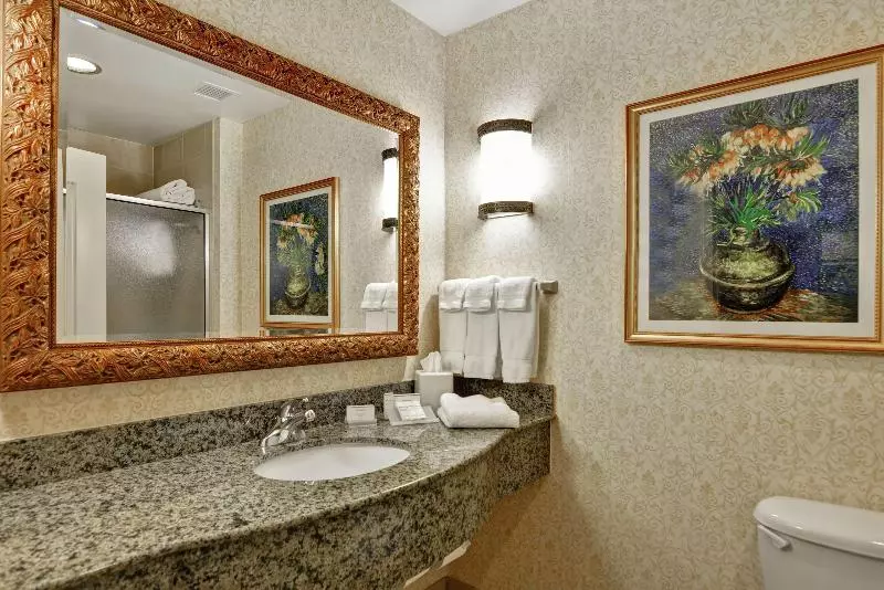 キングサイズベッドのスタンダードルーム, Hilton Garden Inn Amarillo